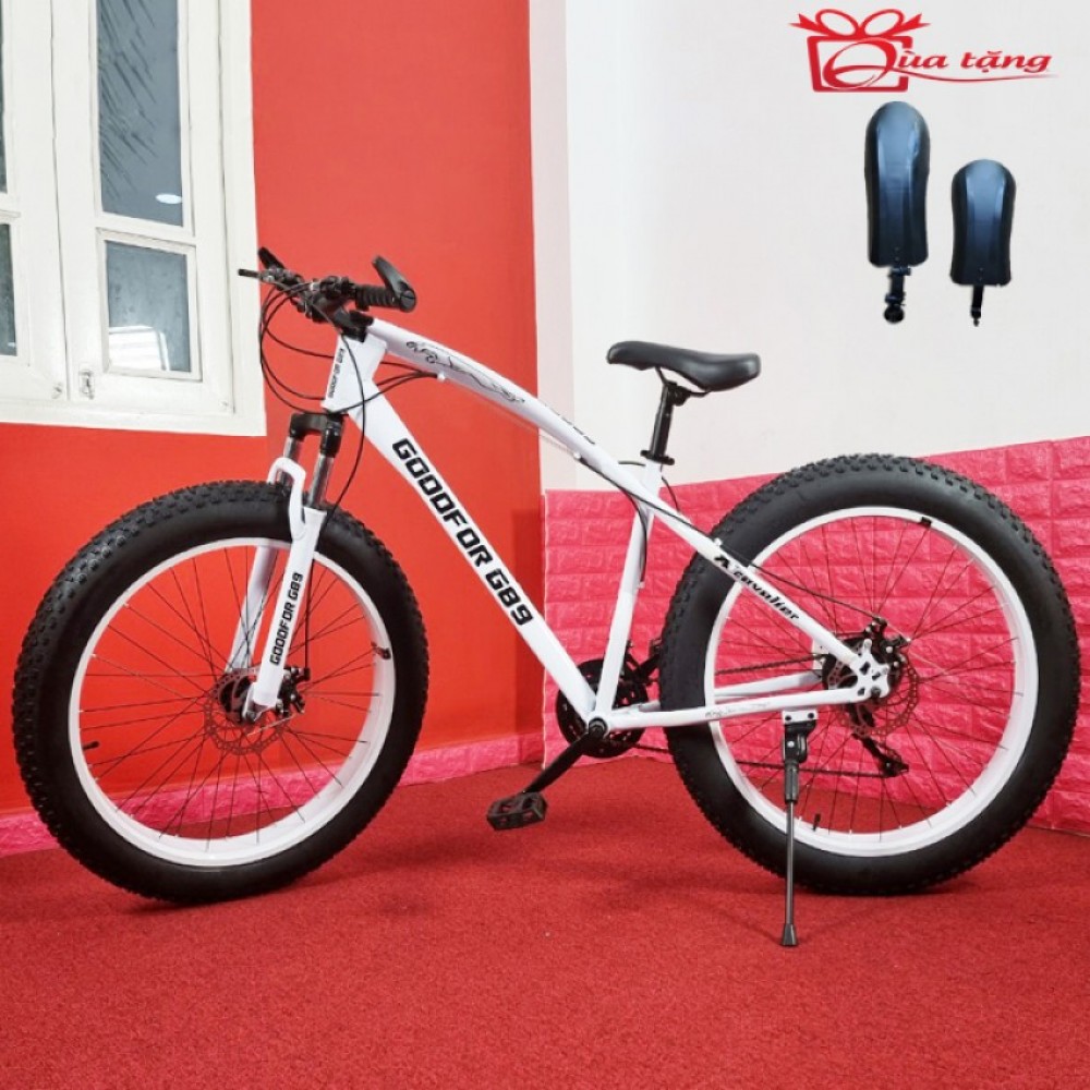 Xe đạp bánh béo GoodFor G89 Xe đạp bánh béo GoodFor G89